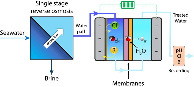 The diagram outlines the water treatment process, starting with a box representing a first stage of reverse osmosis. Dark blue sea water enters one half of a box that is split diagonally, becoming light blue before moving into another cell with gray electrodes at each end. The pink and orange rectangles (membranes) divide the cell into two compartments. A water molecule made of one large red ball (oxygen) and two smaller white balls (hydrogen) sits at the interface of the pink and orange rectangles. On the right-hand side of the cell, there is a white ball (hydrogen ion). On the left-hand side, a red ball and a white ball are stuck together (hydroxide). Also on the left, a green chloride ion bounces off the electrode and an orange boron ion moves toward the electrode.