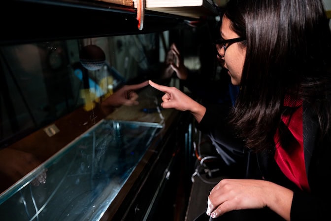A profile view of a woman pointing with her right hand at the outside of a long, glass box. Within the box, is a softball-sized sphere with dimples suspended by a thin rod.