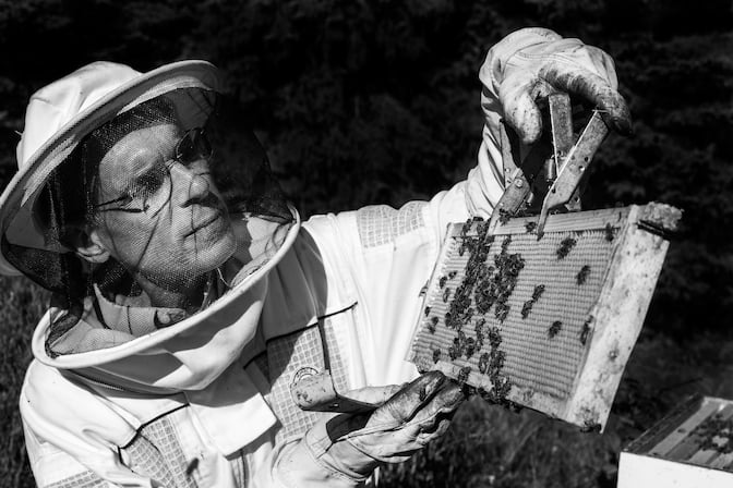 Wallace Hopp in a bee suit