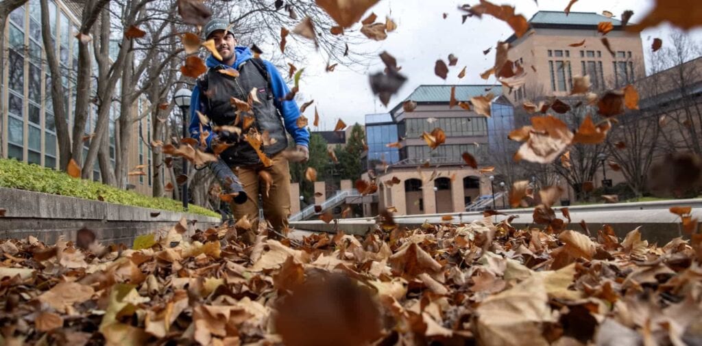 A man wearing a blue hoodie uses a leaf blower to clear fallen leaves from a sidewalk on a tree-lined campus.