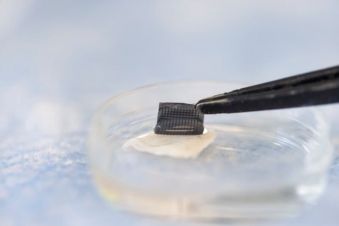A clear petri dish contains a clear liquid and a small mouse skin sample. Black tweezers pull a gray silicone square with tiny needles on one side off the skin sample.