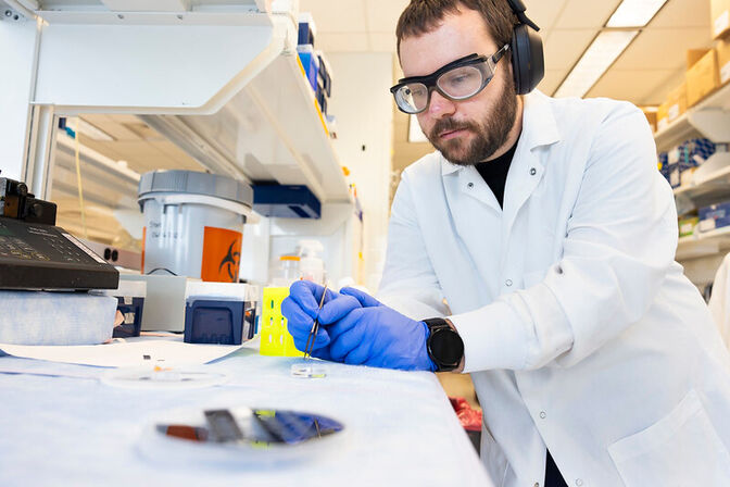 A man wearing a laboratory coat, goggles and gloves uses tweezers to place a small silicone patch with microneedles into a petri dish in a laboratory setting.