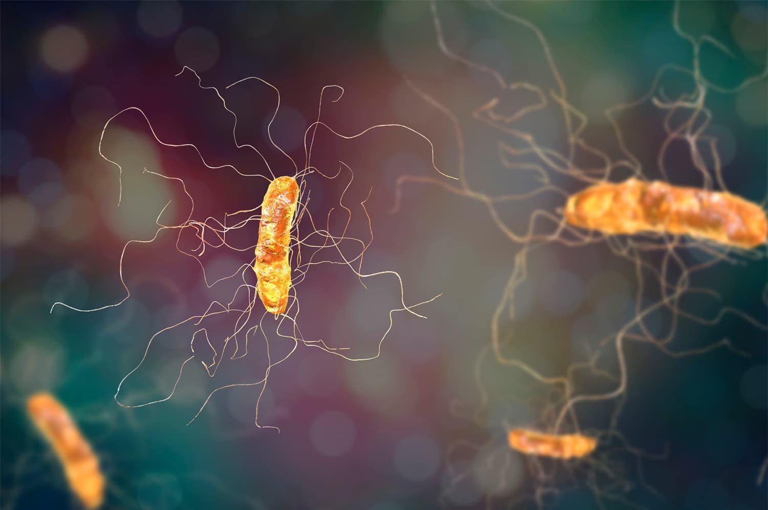 Computer rendering of microscopic Clostridioides difficile, or "C. difficile," which is depicted as rod-shaped orange bacteria with wavy filaments on a blurred multicolored background.