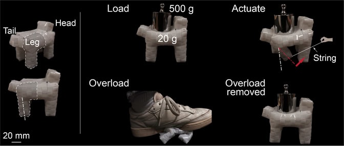 Left: A woven structure with four legs, a tail and head. Top right: The 20 gram woven structure holds a 500 gram weight. A string pulls the legs, flexing them while still holding the weight. Bottom right: Shoe overloads the structure, crushing to be almost flat. After the shoe is removed, the structure returns to the dog shape and holds the 500 gram weight again.
