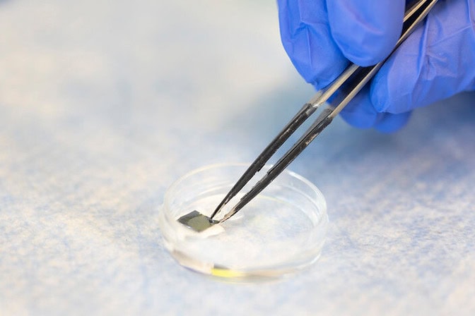 A gloved hand uses tweezers to hold a tiny, square patch designed for melanoma testing in a petri dish on a blue surface.