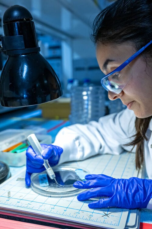 A scientist cuts a shiny gray plate with an X-acto knife. 