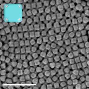 A gray scale photo shows an array of cubes with some empty space between them. Through the gaps, deeper layers of cubes are visible.

