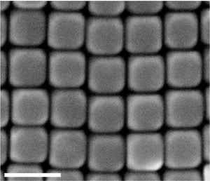 A gray scale photo shows an array of cubes aligned with their faces almost touching.