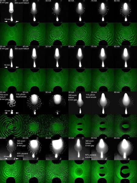 Four rows of six plasma and water pairs. Plasma dots in white on a black background form different water patterns in green. Patterns resemble swirls, stars, or geometric flowers.