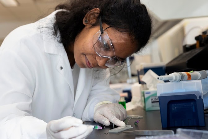 In a lab coat, gloves, and safety glasses, Kumari leans over the lab bench, holding a syringe. The chip is about one inch wide, three inches long, and a quarter of an inch tall.
