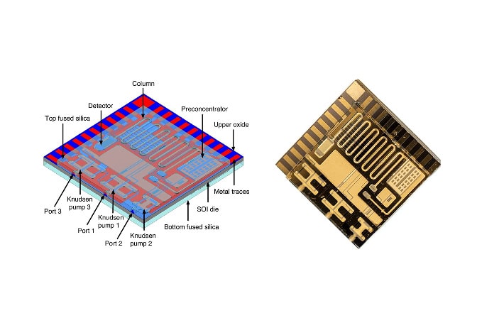 A labeled schematic (left) and photo (right) of the monoGSA system. Left: The square chip has three ports and three Knudsen pumps spaced out from one another on the left side of the chip in a T-junction. Lines lead to a rectangular preconcentrator in the right corner of the device. A serpentine coil leads up to the top, right corner and then to the top left edge into an oval-shaped detector. Right: A photo of the chip in the same orientation. Pumps, preconcentrator, coil and detector are gold while the rest of the chip is black.