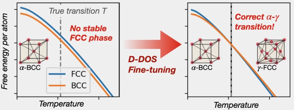 Side-by-side graphs with a red arrow between them pointing left labeled D-DOS Fine-Tuning. Left: A line graph with temperature on the x-axis and free energy per atom on the y-axis. A dotted line down the center denotes the true transition point. A key denotes blue as face center cubic structure and orange as body centered cubic structure. Both lines start in the top left corner and travel to the bottom right in a downward diagonal. The blue, face centered cubic line is slightly above the orange body centered cubic line. The left half has an atomic diagram of an alpha body centered cubic and the right half is labeled no stable face centered cubic phase. Right: The same line graph, but the blue and orange lines align. The left half has an atomic diagram of alpha body centered cubic and the right half a gamma face centered cubic atomic diagram. Above the right half is labeled correct alpha to gamma transition.
