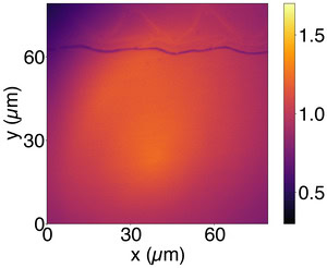 The OLED glows evenly, without the graininess seen in the images of the powered OLED. The image shows an area about 75 microns to a side.