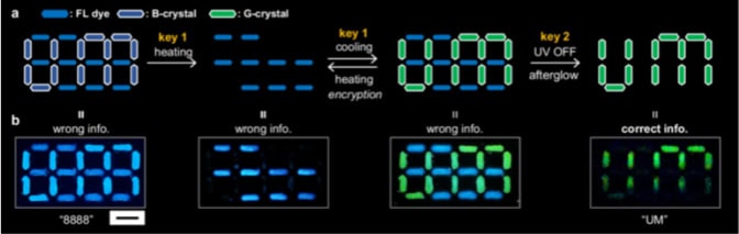 Two flow charts of data encoding. Top: A digital sign reads “8888” in a mix of fluorescent blue dye and BrGlu phosphorescent blue lines. A white arrow points left with “key 1, heating” above. Horizontal lines fluorescent blue dye. A white arrow points left with “key 1, cooling” above. The horizontal blue lines remain and BrGlu green phosphorescent lines appear spelling “UM.” A white arrow points left with “key 2, UV off” above.