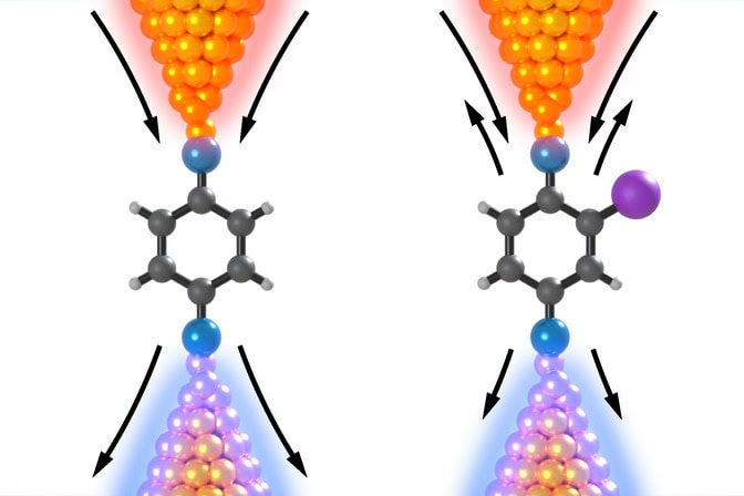 An illustration of how a single-atom substituent tunes phonon transport in single-molecule junctions. Yellow spheres: Gold (Au) atoms which form clusters. Blue spheres: Nitrogen atoms which link the benzene-based molecule. Dark light grey spheres: Carbon and hydrogen atoms, respectively, which constitute the benzene-based molecule. Purple sphere: Iodine atom which replaces one hydrogen atom in the benzene-based molecule. Arrows: Heat flow mediated by phonons. The direction and length of the arrows represent the heat flow direction and its amplitude, respectively.