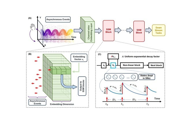 A flow chart with three panels. Panel A: Asynchronous events feed into a channel-wise embedding layer. This then flows into state space model blocks and then downstream tasks. Panel B: A closer look at the channel-wise embedding layer that organizes asynchronous events in blocks within a 3D figure. Panel C: A closer look within a state space model block that processes input as it arrives.