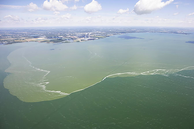 An aerial view of an algae bloom, which looks like an olive-green slick on the surface of a lake. The bloom stretches along several miles of coastline and brushes up against a coastal city.