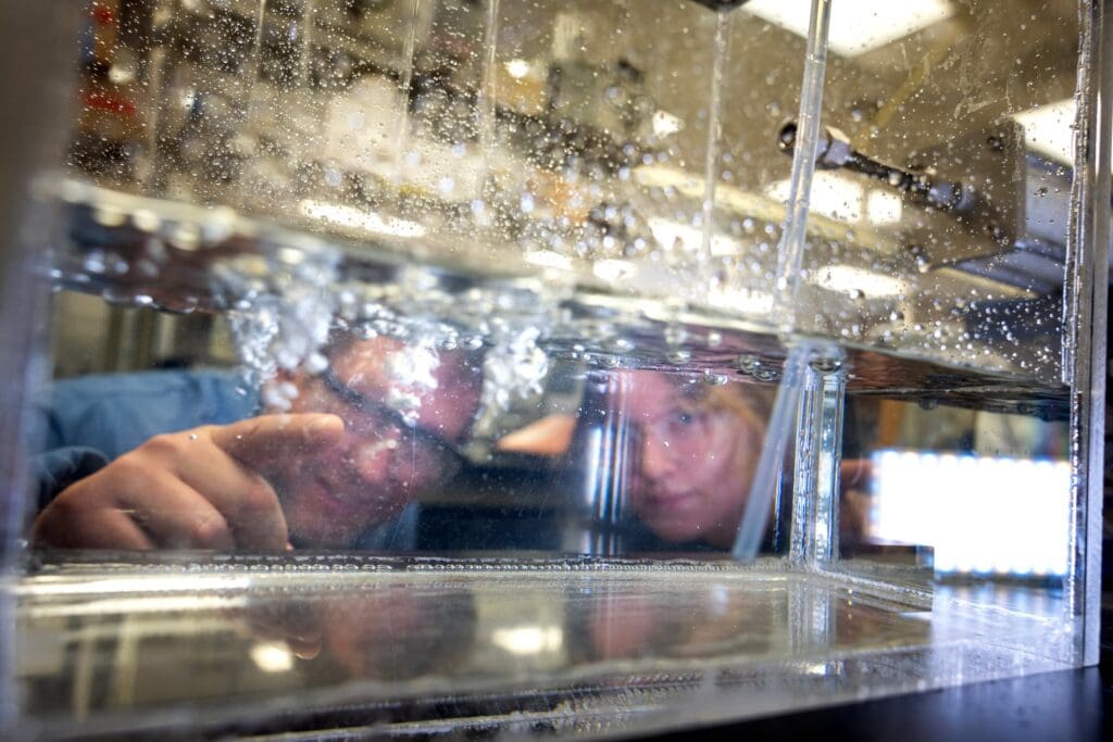two people peer through a tank of bubbling water