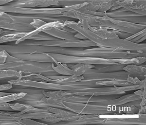 A gray-scale image of horizontal fibers. The fibers are tightly packed but there are clear borders between the individual fibers.