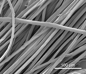 A gray-scale image of loosely arranged fibers.