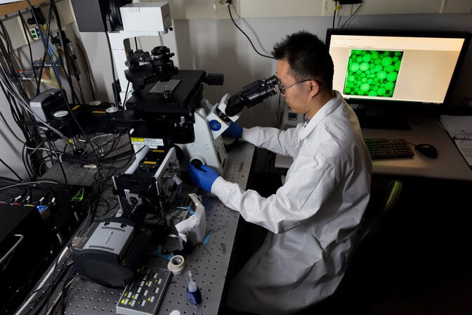 Researcher in a white lab coat and blue gloves sits at a lab bench operating a microscope and viewing a computer monitor showing a microscopy image of green overlapping circles representing tardirade proteins.