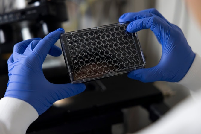 Person in a white lab coat and blue gloves holds a multiwell plate of samples against a blurry background.