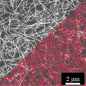 White fibers are scattered across a gray field. In half the image, red lines trace the fibers, with intersection points marked in blue. The border between the microscope image and graph overlay diagonally cuts across the image.