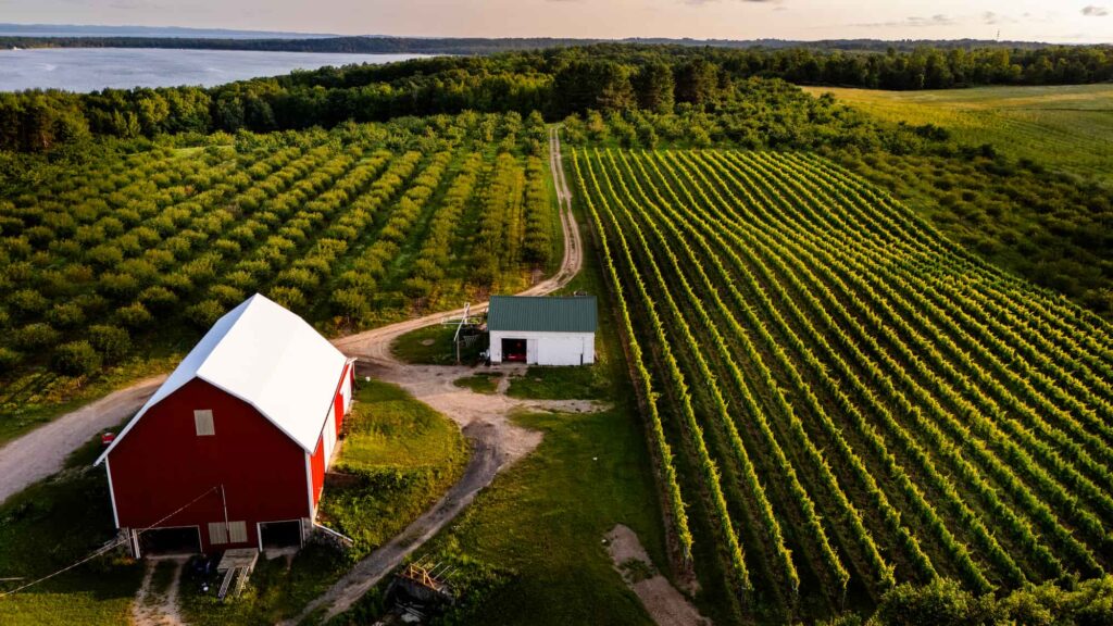 Aerial view of a red barn surrounded by vineyards and cherry orchard at Lyon Farm & Vineyards.