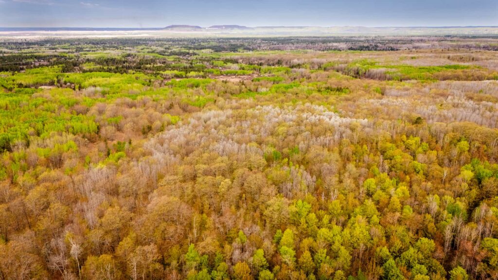 Aerial view of forested land and open terrain near Marquette, showing the landscape surrounding Pete Cook's property.