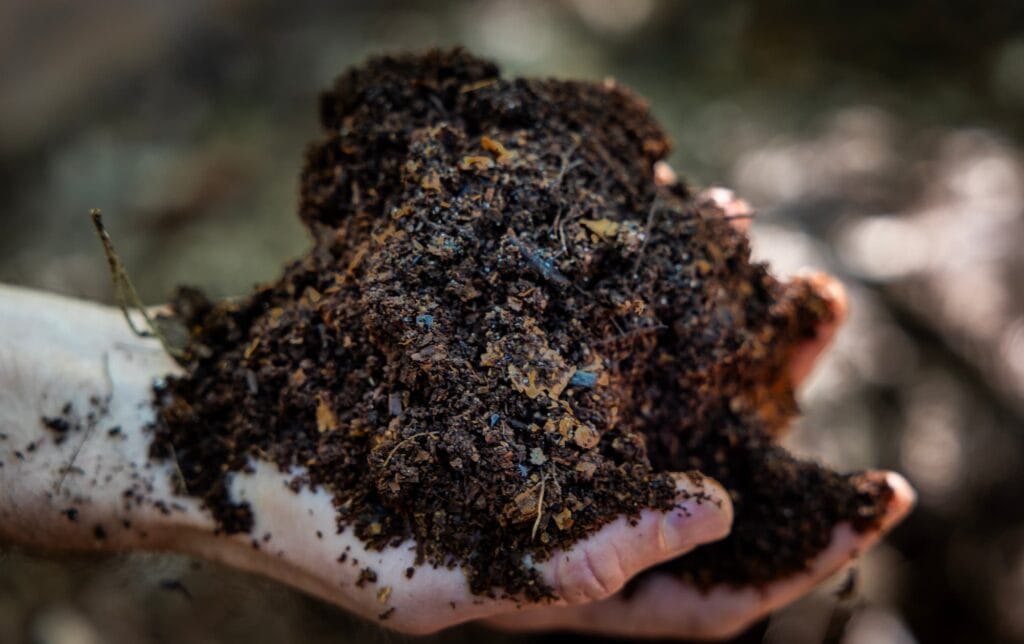 A hand holds a handful of dark, finished compost rich in organic matter.