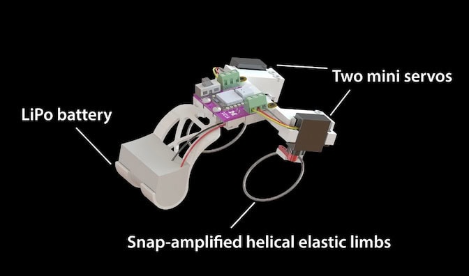 The front of the robot, which doubles as sort of a wide, immobile front leg, holds the battery (labeled "LiPo battery") with wires running to a circuit board at the top. More wires run back to the actuators on the rear legs, each with a black box that is labeled as a mini servo, and each with an elastic rod bent into a loop, labeled "snap-amplified helical elastic limbs."
