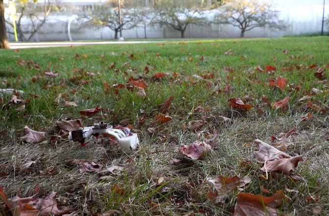 The robot is barely taller than the leaf-strewn lawn it sits on.