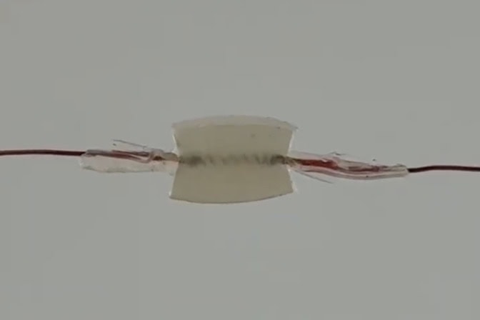 Nano-wrinkles and actuation break up infectious biofilms on implants